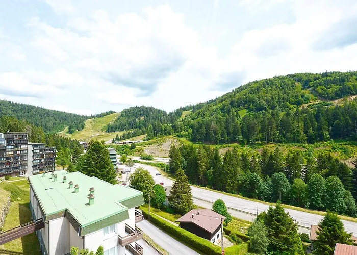 L'epicea - Vue Montagne La Bresse