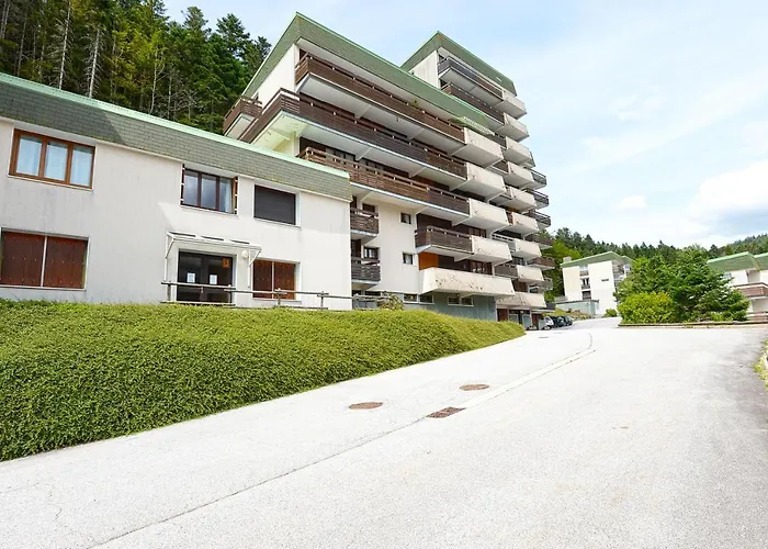 L'epicea - Vue Montagne La Bresse